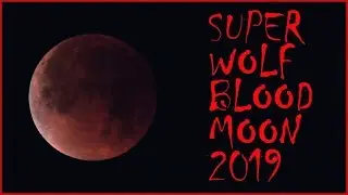 Super Wolf Blood Moon 2019 | Scary
