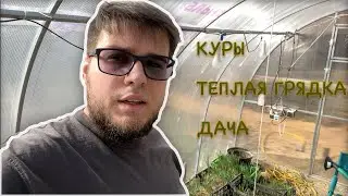 ДАЧНЫЙ ВЛОГ | КУРЫ НАЧАЛИ НЕСТИСЬ | ЗЕЛЕНЬ В ТЕПЛИЦЕ В ФЕВРАЛЕ | ТЕПЛАЯ ГРЯДКА ИЗ НАВОЗА И ВЕТОК