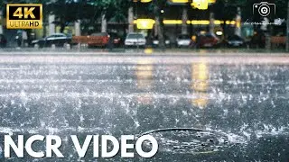 No Copy Right Video Capturing the Rain and Blooms in My Balcony, Water Flowing Balcony  Free Video