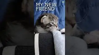 My new friend
