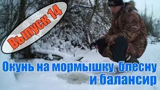 Рыбалка в Подмосковье - Ловля окуня зимой