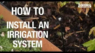 How to install an irrigation system - Bunnings Warehouse