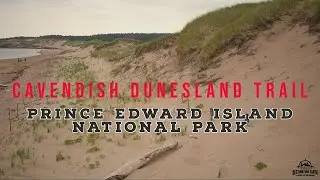 Cavendish Duneland Trail: PEI's Most Popular Beach Hike | Prince Edward Island National Park | CA