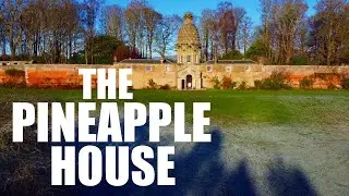 The Pineapple House