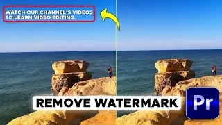 How to Remove Watermarks from Videos Quick and Easy Method