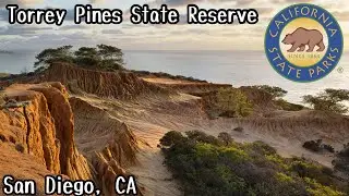 MUST VISIT Spot in San Diego | Torrey Pines State Reserve (2022)