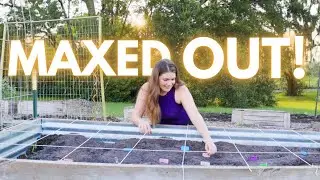 SQUARE FOOT GARDENING | How I grow up to 32 crops in 1 raised bed! Grow MORE in small spaces!