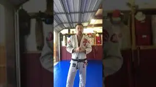 Sean Patrick Flanery How to Defeat a high level judoka