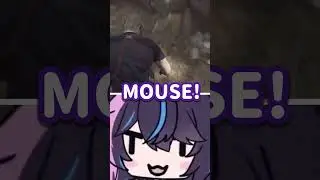 Kson vs Mouse