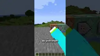 Minecraft Added Multi-Sided Blocks??