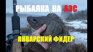 РЫБАЛКА НА АЭС. ТИЛЯПИЯ НА ФИДЕР. Рыбалка в Удомле. Tilapia. Fishing at the nuclear power plant