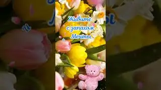 ☀️Вот Вам Солнышко в Лукошке, если нет его в Окошке! 💐 С Добрым утром ☕