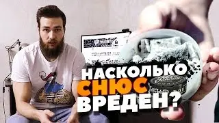 СНЮС ПОСЛЕДСТВИЯ / ЗАПРЕТ СНЮСА В РОССИИ