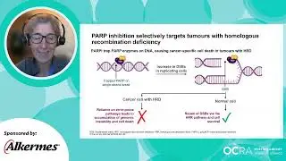 Experimental Therapies for Ovarian Cancer (2023)