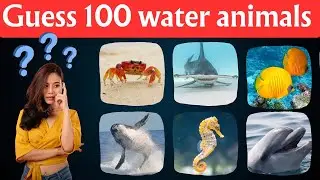 Guess the water Animal Quiz challenge | Fun & Engaging Quiz Video