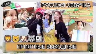 РУССКАЯ ОЗВУЧКА - (G)I-DLE - Выходные после MAMA [l-LOG] #43 🦁😺🐶🐺