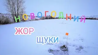 ПОПАЛ НА ЖОР ЩУКИ! Устал бегать и считать сработки ! Зимняя Рыбалка 2024 года на жерлицы в январе!