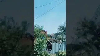 Ukrainian soldiers 👍🍀🍀