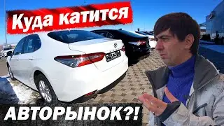 ЦЕНЫ на НОВЫЕ авто в 2022 году. Прошли по САЛОНАМ и ОШАЛЕЛИ! Часть 1: Toyota, Lexus, Hyundai.