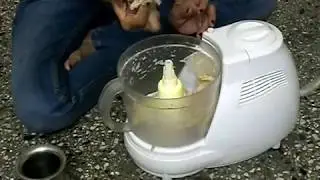 How to Make Chapati Dough - Lot in Bajaj Food Processor - Gujarati