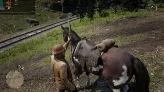 Red Dead Redemption 2 I3 9100f gtx 1060 3gb