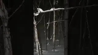 ЛОГОВО РЕЙКА / RAKE'S LAIR / 