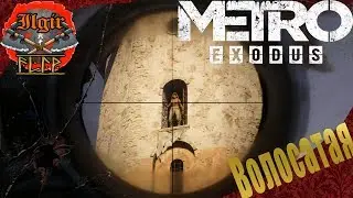 Metro Exodus-#7 Валасатая (прохождения)