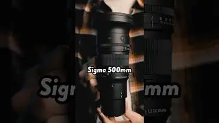 Sigma's NEW 500mm is pretty crazy! 📸