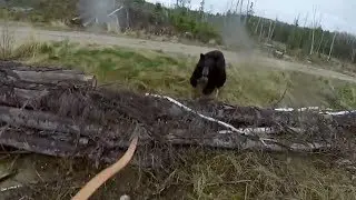 Black Bear Attacks Man