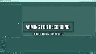 How do I record with my microphone in Reaper