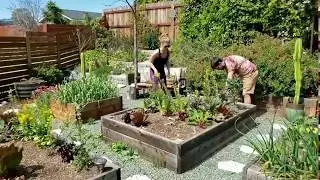 Clearing & Amending "No Till" Garden Bed Soil - Timelapse