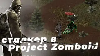 Сталкер в Project Zomboid. Сборка модов сталкер в зомбоиде.