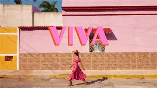 Mister Zimi - VIVA AW'23