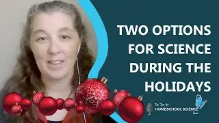 Two Different Ways You Can Handle Science During the Holidays