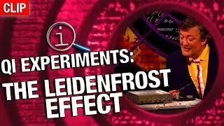 QI | The Leidenfrost Effect