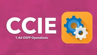 CCIE Topic: 1.4d OSPF Operations