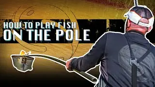 How To Net Fish On A Pole With Guru