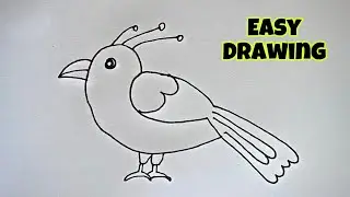 How to Draw A Bird Easy step by step