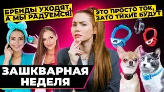 Почему Блогеры рады санкциям? | Зашквар недели