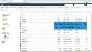 How to edit  htHypertext access file through cPanel File manager with CloudSpace