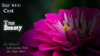 True Beauty - the Lesson of Citra Nakshatra