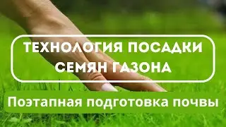 Как сажать газон? 7 простых шагов