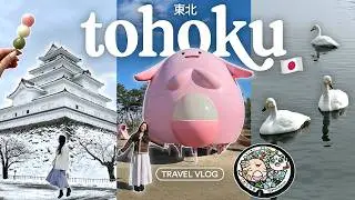 japan travel vlog 🇯🇵🏯🦢 tohoku's best things to do | fukushima, koriyama, aizu, morioka (pt. 1)