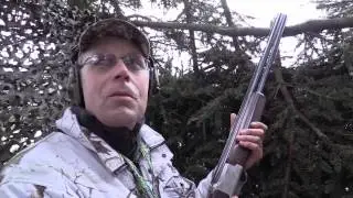 Манкі на сіру ворону Nordik Barrborn Crow