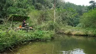 2 Days solo survival CAMPING by the Stream, Bushcraft Survival Shelter. Fish Trap, Catch and Cook