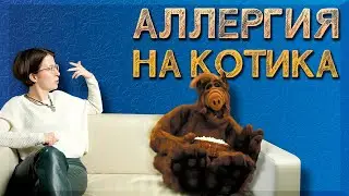 Аллергия на КОШЕК | Всё, что нужно знать про аллергию на котов