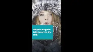 Why do we go to the toilet more in the cold?
