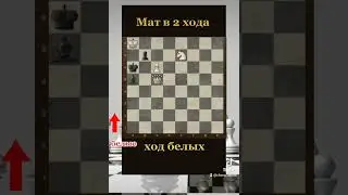 Шахматная задачка #chess #шахматы #chorts