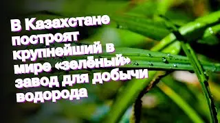 В Казахстане построят крупнейший в мире «зелёный» завод для добычи водорода