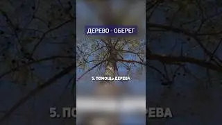 🌳 Как на Руси избавлялись от негатива #энергетикачеловека #негативныеэмоции #деревья